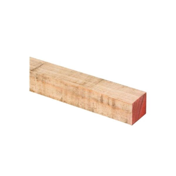 PINO INSIGNE DIMENSIONADO 2.00X2.00X3.20 MT