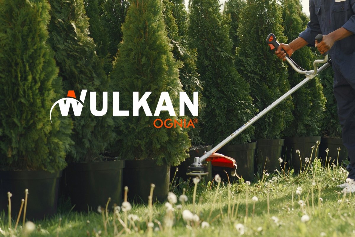 desbrozadora wulkan desmalezadora