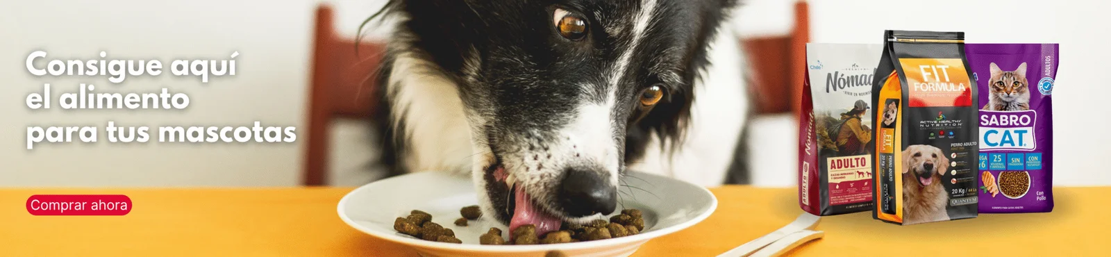 banner-alimento-para-mascotas