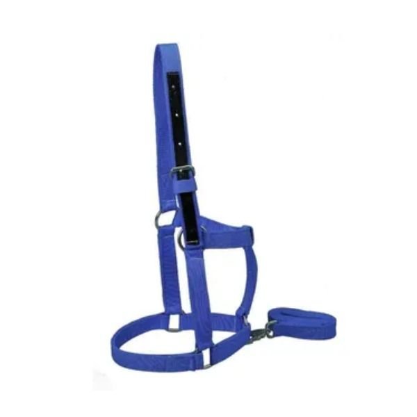 JAQUIMA NYLON ADULTO