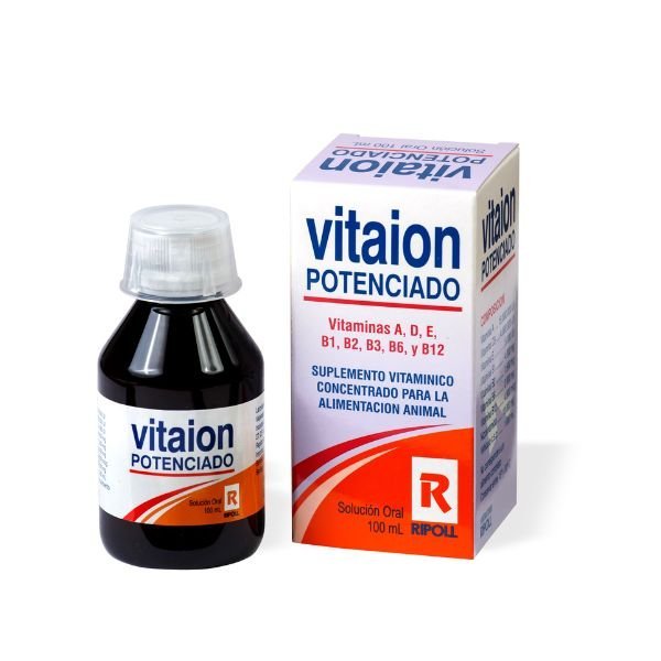 MULTIVITAMÍNICO VITAION 100 ML