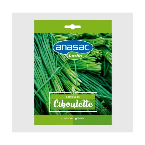 SEMILLA CIBOULETTE x 1 GR ANASAC