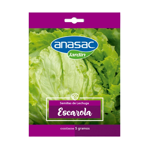 SEMILLA LECHUGA ESCAROLA 5 GRS