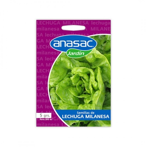 SEMILLA LECHUGA MILANESA 5GRS
